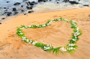 heart of flowers and plants in sand